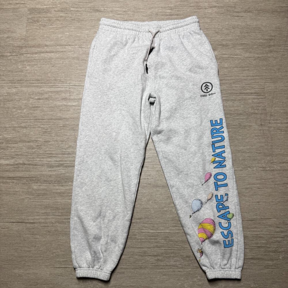 Parks Project Gray Escape to Nature Pants